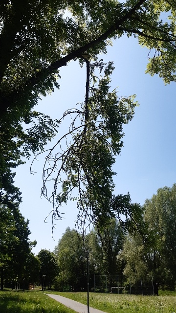 20230525_124400_resized groß.jpg